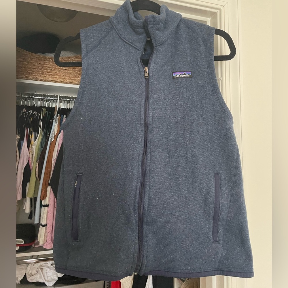 Patagonia vest